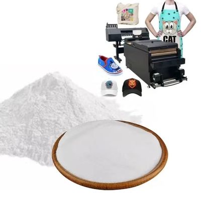 DTF đen bột dính nóng nóng chảy DTF bột trắng