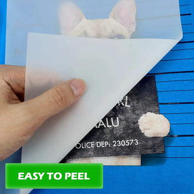 Tăng tối đa tiềm năng in của bạn với vật liệu in DTF 30cm * 100m 75U Release Pet Film Roll Double-sided Cold Peel