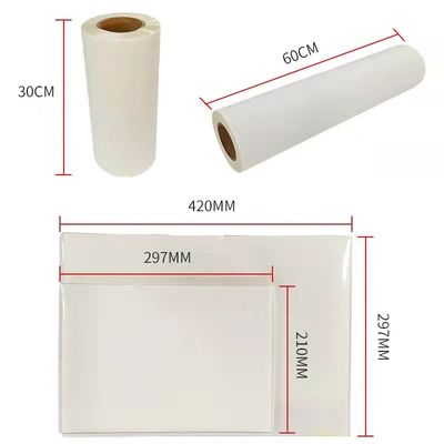 DTF Film Hot Peel Double Matte 30cm*100m Instant Peel phim in mực trắng