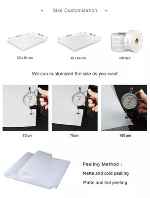 Phim in polyester silicon 100micron cho Offset và Screen Printing PET release film