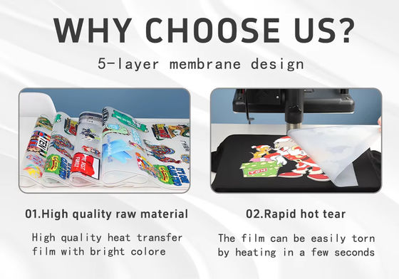 Mực trắng in ấn DTF Transfer Film Roll Hot Peel Độ kéo dài cao để in