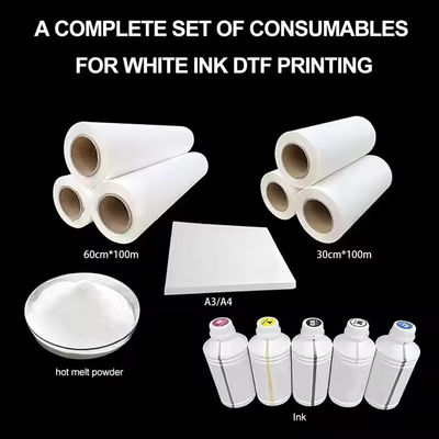 30CM * 100M Hot Peel Single Double Side Roll DTF Transfer Film cho máy in DTF